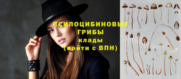 прущий лед Остров