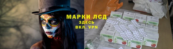 стафф Осташков