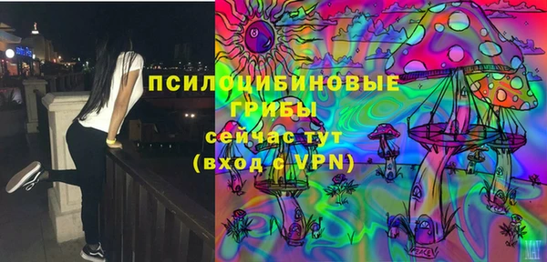 мдпв Осинники