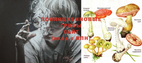 стафф Осташков