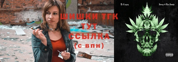мдпв Осинники