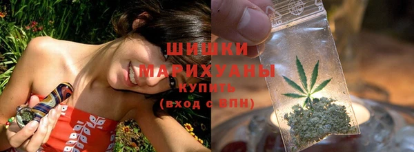 мдпв Осинники