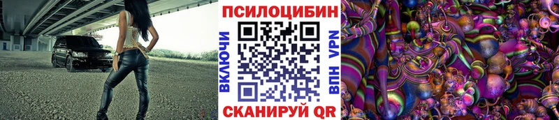 Галлюциногенные грибы MAGIC MUSHROOMS  KRAKEN tor  Новосибирск  даркнет сайт 