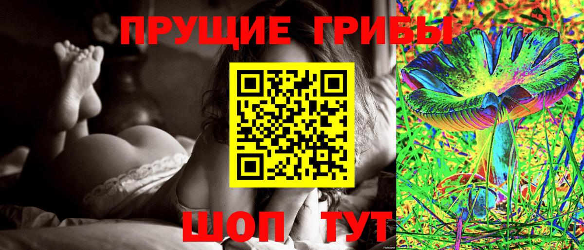 Псилоцибиновые грибы мицелий Новосибирск