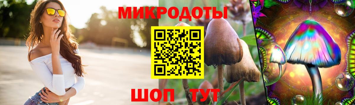 Псилоцибиновые грибы ЛСД  Вход с VPN  Псилоцибиновые грибы ЛСД  Новосибирск 